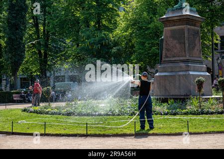 Park maintenance worker watering grass and plants on a sunny summer day at Esplanade Park in Helsinki, Finland Stock Photo