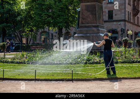 Park maintenance worker hosing or watering grass and plants at Esplanade Park on a sunny summer day in Helsinki, Finland Stock Photo