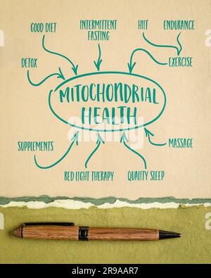 mitochondrial health concept - mind map infographics, sketch on a ...