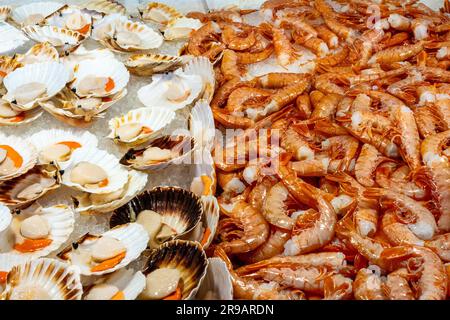 Scallops and prawns from the Mediterranean Sea for sale at a market in Venice, Italy Stock Photo