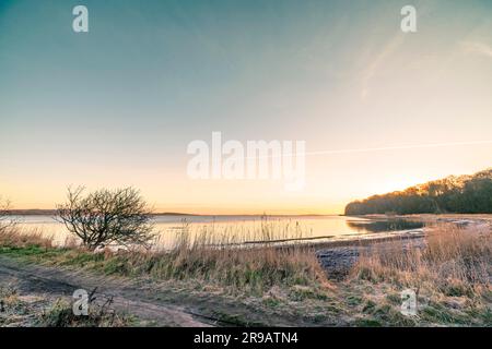 Sunrise over a lake in the winter with frost in the grass on a cold morning Stock Photo