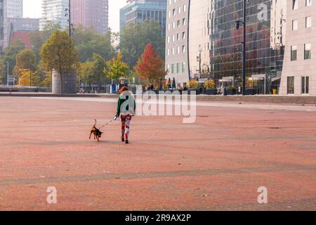 Rotterdam, Netherlands - October 10, 2021: Unidentified woman walking her dog in Blaak district of Rotterdam, NL. Stock Photo