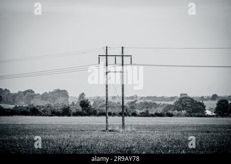 Black and white photo of pylons in a countryside scenery Stock Photo