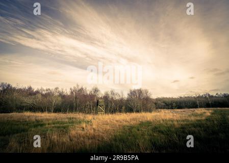 Hunting tower on a field in autumn scenery Stock Photo