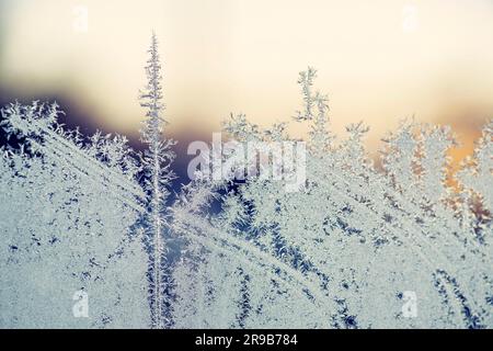 Morning frost on a window in the sunrise an early winter morning in January Stock Photo