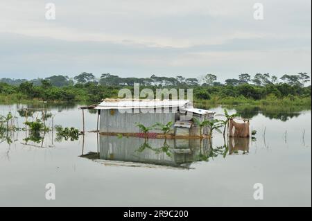 Non Exclusive: 23 June 2023 Sylhet-Bangladesh: A Waterlogged home in the Shalutikor area of Sylhet, Bangladesh. Due to incessant rains and slopps from Stock Photo