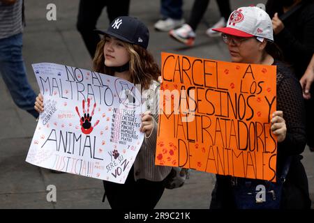 Non Exclusive: June 25, 2023, Mexico City, Mexico: Thousands of people participated in the Citizen March for Animal Rights, demanding legislation for Stock Photo