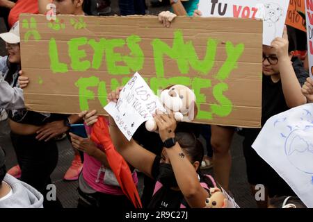 Non Exclusive: June 25, 2023, Mexico City, Mexico: Thousands of people participated in the Citizen March for Animal Rights, demanding legislation for Stock Photo