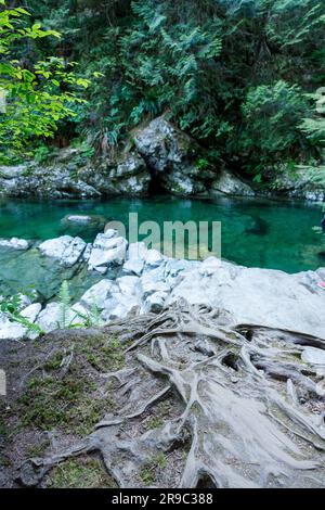 A beautiful swimming hole with turquoise water located near the Twin Falls Waterfall at Lynn Canyon Park Stock Photo