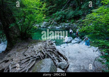 North Vancouver, Canada - June 4,2023: A beautiful swimming hole with turquoise water located near the Twin Falls Waterfall at Lynn Canyon Park Stock Photo