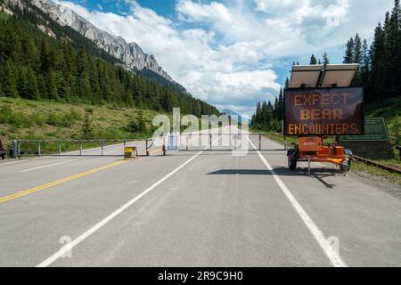 Seasonally closed Highway 40 Road Gate at Kananaskis Country Lakes Turnoff, with Alberta Parks Bear Cyclist Warning Sign on Electronic Board Stock Photo