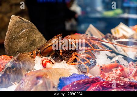 Girona, Catalonia, Spain - FEB 12, 2022: Fish and seafood sold at a shop in Girona, Catalonia, Spain. Stock Photo