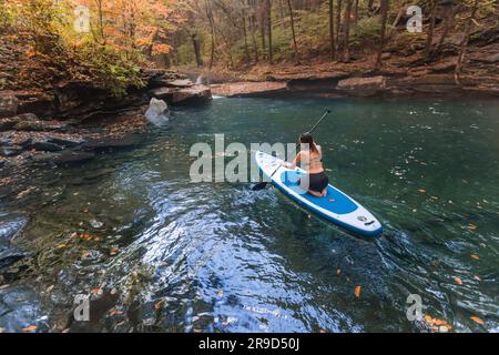 Woman paddle boarding in a fall scene on a clear river Stock Photo - Alamy