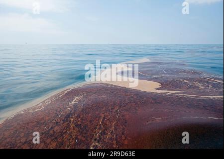 Deepwater Horizion oil spill Stock Photo