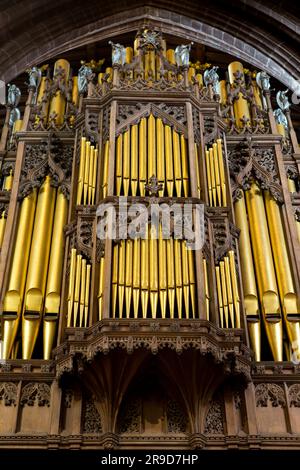 Organ Pipes in Chester Cathedral, Cheshire UK Stock Photo