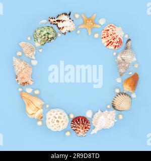 Seashell and pearl decorative wreath with collection of shells on blue background. Natural summer nature design, beach and seaside art. Stock Photo