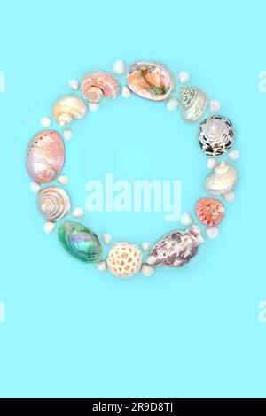 Mother of pearl seashell wreath on pastel blue background. Large collection of exotic and tropical shells, natural summer nature design. Stock Photo