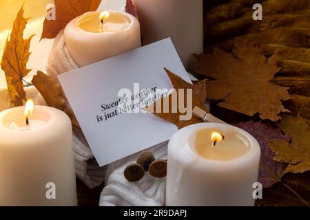 SWEATER WEATHER IS JUST BETTER TOGETHER text greeting card concept Celebrating autumn holidays at cozy home on the windowsill Hygge aesthetic atmosphere Autumn leaves spices and candle on knitted white sweater in warm yellow lights. Still life. Raining Outside Stock Photo