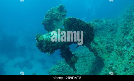 Red Sea, Egypt. 24th June, 2023. Propeller of ferry Salem Express shipwreck, Red sea, Safaga, Egypt (Credit Image: © Andrey Nekrasov/ZUMA Press Wire) EDITORIAL USAGE ONLY! Not for Commercial USAGE! Stock Photo