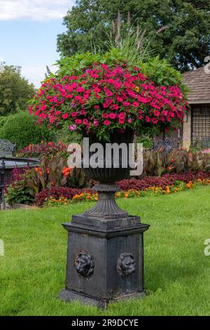 Beautiful potted flowers of red petunias with lion heads on the base at Clemens Gardens, established in 1986, in St. Cloud, Minnesota USA. Stock Photo