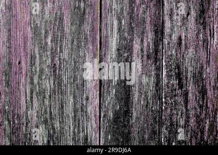 Purple and black colored planks. The paint is almost gone. Wood structure in unusual colors. Meant as grunge background Stock Photo
