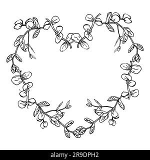 Greenery hand drwan elements for design Stock Vector Image & Art - Alamy