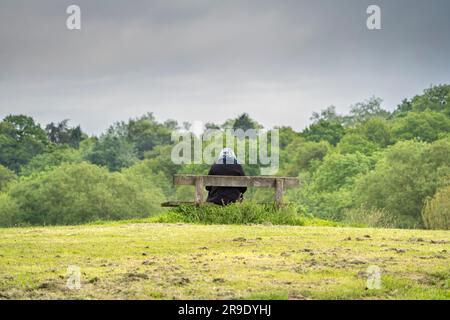 Rear view of an older, senior lady sitting isolated on a UK park bench looking towards a grey foreboding, stormy sky. Stock Photo