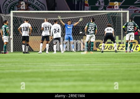 Sao Paulo, Brazil. 26th June, 2023. SP - SAO PAULO - 06/25/2023 - BRAZILEIRO A 2023, PALMEIRAS X BOTAFOGO - Lucas Perri Botafogo goalkeeper during a match against Palmeiras at Arena Allianz Parque for the BRAZILIAN A 2023 championship. Photo: Marcello Zambrana/AGIF/Sipa USA Credit: Sipa USA/Alamy Live News Stock Photo