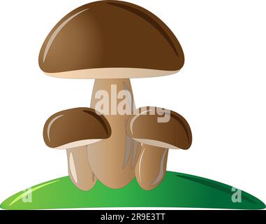 Mushrooms with brown caps, children's drawing. Vector illustration Stock Vector