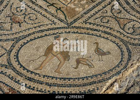 Morocco. Volubilis is a partly excavated Berber city in Morocco situated near the city of Meknes, and commonly considered as the ancient capital of th Stock Photo