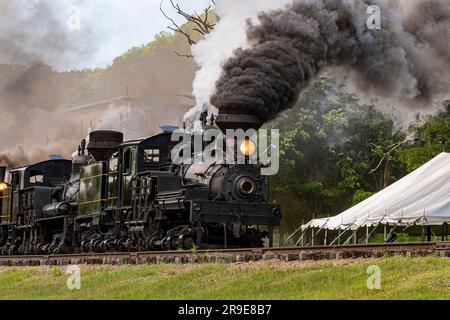 View of a Parade of Vintage Antique Shay Steam Locomotives Blowing Lots of Steam and Smoke as They Slowly Approach on a Sunny Summer Day Stock Photo