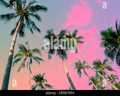 Tall coconut palm trees jungle background on summer colorful sky with fantasy color tone, beautiful tropical blue, pastel purple and pink gradient bac Stock Photo