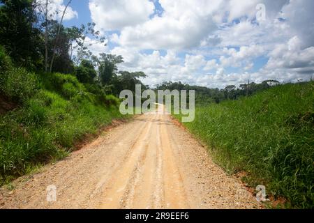 Views of the streets and houses of a jungle region in the Peruvian Amazon located near the city of Tarapoto. Stock Photo