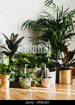 Stylish interior design. Different decorative elements and furniture on ...