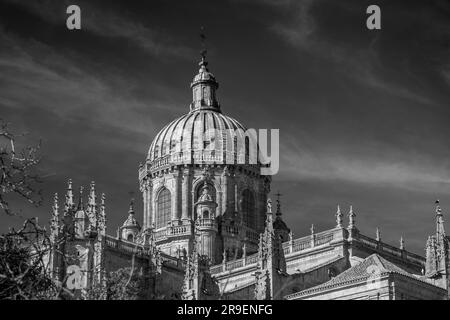 The New Cathedral, Catedral Nueva is one of the two cathedrals of Salamanca. Constructed between 16th and 18th centuries in Gothic and Baroque styles Stock Photo