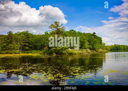 Egypt Meadows Lake in the Bruce Lake State Forest Nsatural Area, Pocono Mountains, Pennsylvania Stock Photo