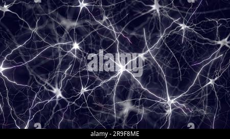 Neurons also known as neurones or nerve cells. The neurons transmit information between different parts of the brain Stock Photo