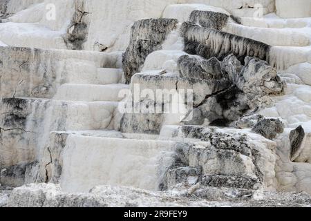 Mammoth Hot Springs, Yellowstone, WYoming Stock Photo
