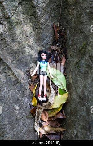 A toy left in the Labyrinth Rocks, a series of Limestone Canyons near Takaka, Golden Bay, Tasman, South Island, New Zealand. Photo: Rob Watkins Stock Photo