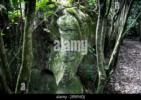 Labyrinth Rocks, a series of Limestone Canyons in a Public Reserve, near Takaka, Golden Bay, Tasman, South Island, New Zealand. Photo: Rob Watkins Stock Photo