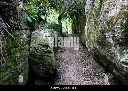 Labyrinth Rocks, a series of Limestone Canyons in a Public Reserve, near Takaka, Golden Bay, Tasman, South Island, New Zealand. Photo: Rob Watkins Stock Photo