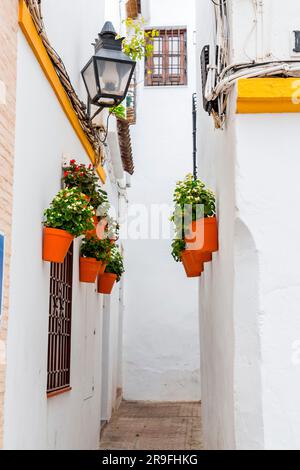 Street scene with traditional Andalucian architecture in the historical city of Cordoba, Spain. Stock Photo