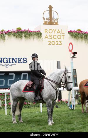 Ascot, Berkshire, UK. 24th June, 2023. Thames Valley Police Mounted Section police officers and horses on duty on the racetrack at Ascot Racecourse during Royal Ascot week. Credit: Maureen McLean/Alamy Stock Photo