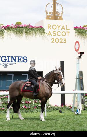 Ascot, Berkshire, UK. 24th June, 2023. Thames Valley Police Mounted Section police officers and horses on duty on the racetrack at Ascot Racecourse during Royal Ascot week. Credit: Maureen McLean/Alamy Stock Photo