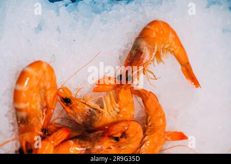 Many fresh shrimps are soaked with small fine ice cubes. Food preservation at a supermarket Stock Photo