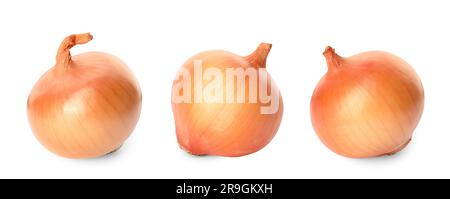 Three whole fresh onion bulbs isolated on white Stock Photo