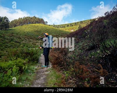 A hiker is seen pointing to another burned area. Last April a fresh wave of wildfires scorches Spain's Asturias. More than a month after, pilgrims walking along the Puerto del Palo, which is a climb in the region Asturias and it's also part of the Camino Primitivo, one of the Caminos de Santiago can still observe the visible damage to trees and fields. These fires are also believed to be the result of deliberate actions. Stock Photo