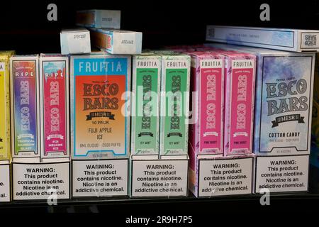flavored vape brands TURNT UP TURNT UP - 2G DUAL DISPOSABLE