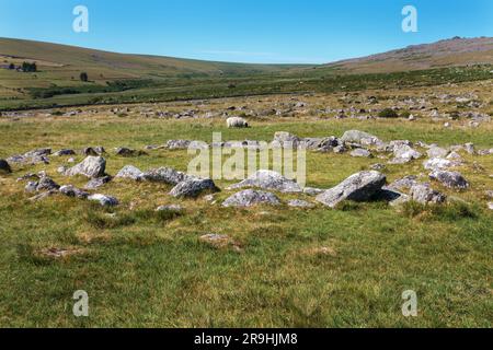 Merrivale Prehistoric Settlement, western Dartmoor, Princetown, Yelverton, Devon, England, UK: Bronze Age stone hut circle Stock Photo