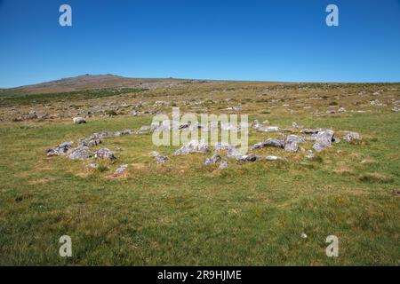 Merrivale Prehistoric Settlement, western Dartmoor, Princetown, Yelverton, Devon, England, UK: Bronze Age stone hut circle Stock Photo